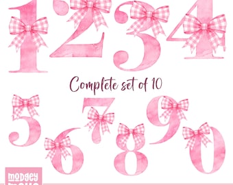 Lazo de cuadros vichy rosa para niñas, números del 0 al 9, PNG, diseños de sublimación, diseño de tarjeta de cumpleaños para niñas en acuarela (descarga digital)