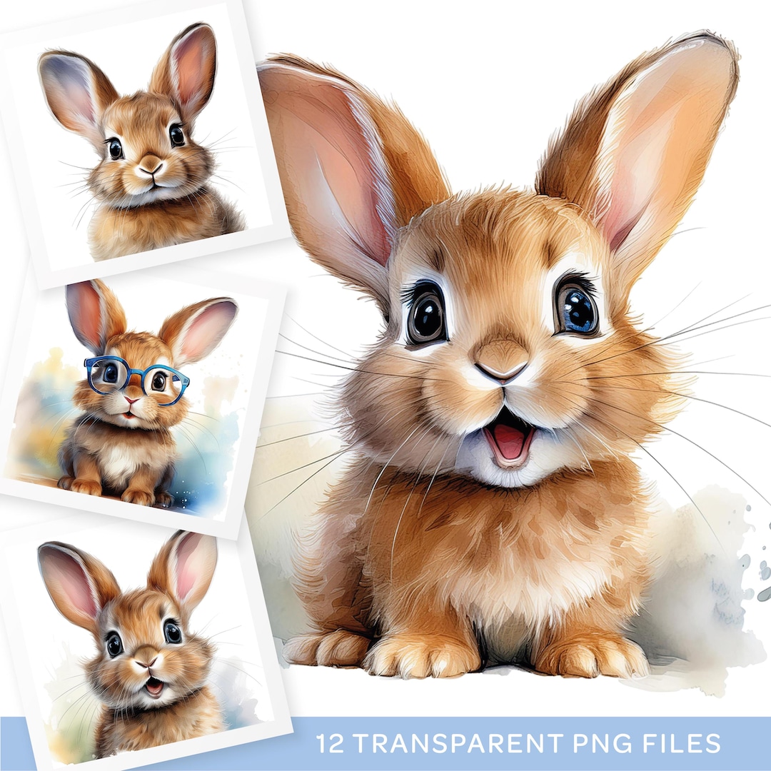 Surprised Rabbit Figure Surprised Bunny Clipart, Cute Rabbit - 12 High Quality Transparent PNG ...