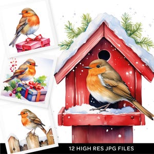 Winter Robin Clipart série 1 - 12 JPGs de alta qualidade - Artesanato em papel digital, pacote de clipart, registro no diário, criação de cartões e muito mais - download instantâneo