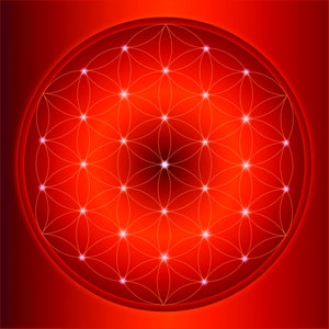 Wortel Chakra Clearing en Activering