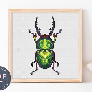 Cross Stitch Pattern Lamprima Adolphinae Gestro PDF | Bug Pattern | Home Decor DIY | Cross Stitch PDF | Cross Stitch Counted #EMX272