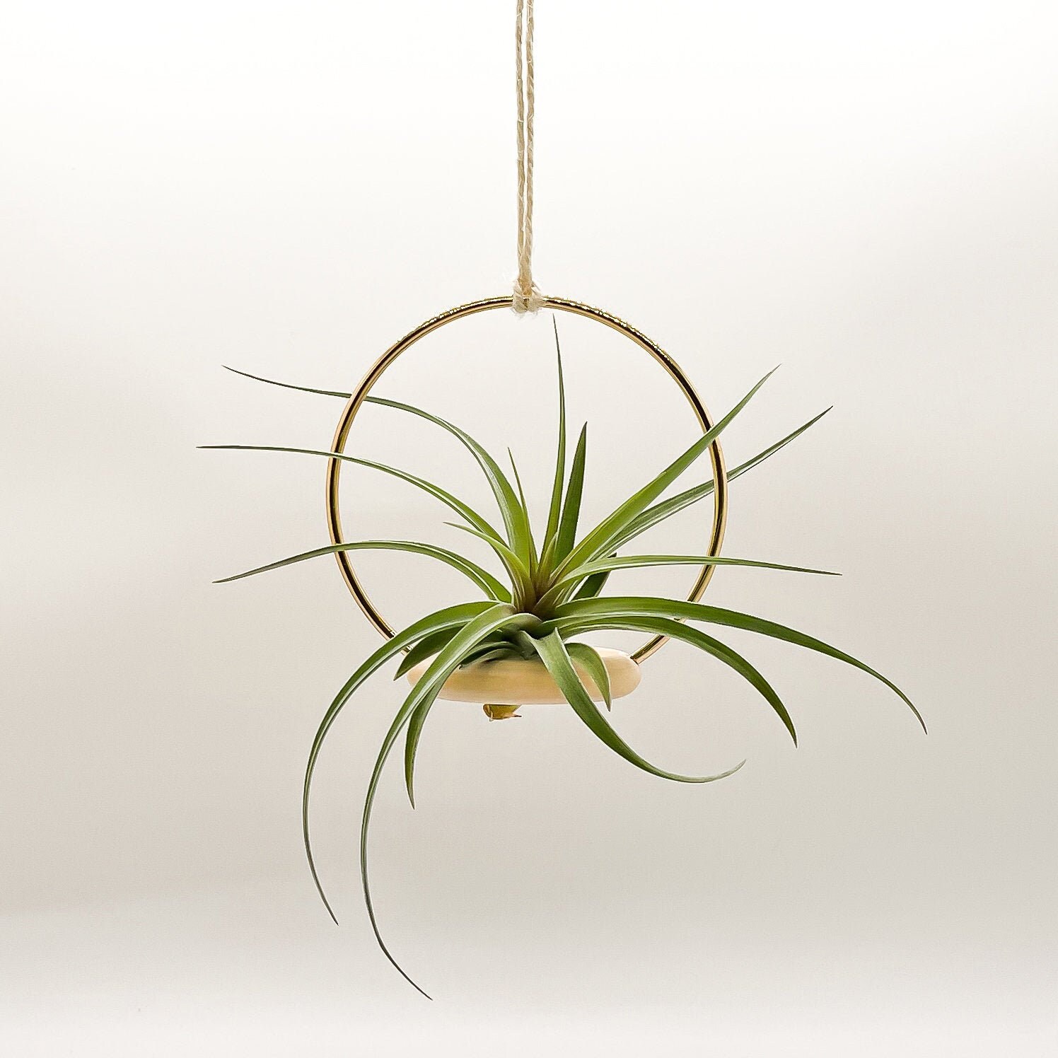Zehn. Wood + Metal Air Plant Hanger, Hanging Plant Holder, Minimalist…