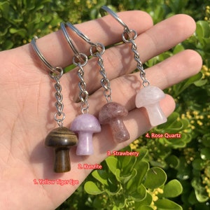 15 Kinds of Mushroom Crystal Keychain, Healing Crystal, Gemstone Keychain, Hand Carved Crystal Key Chain, Gifting