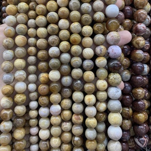 Chrysanthemum Stone Beads: Genuine Coral Fossil Jasper, Round Loose Beads