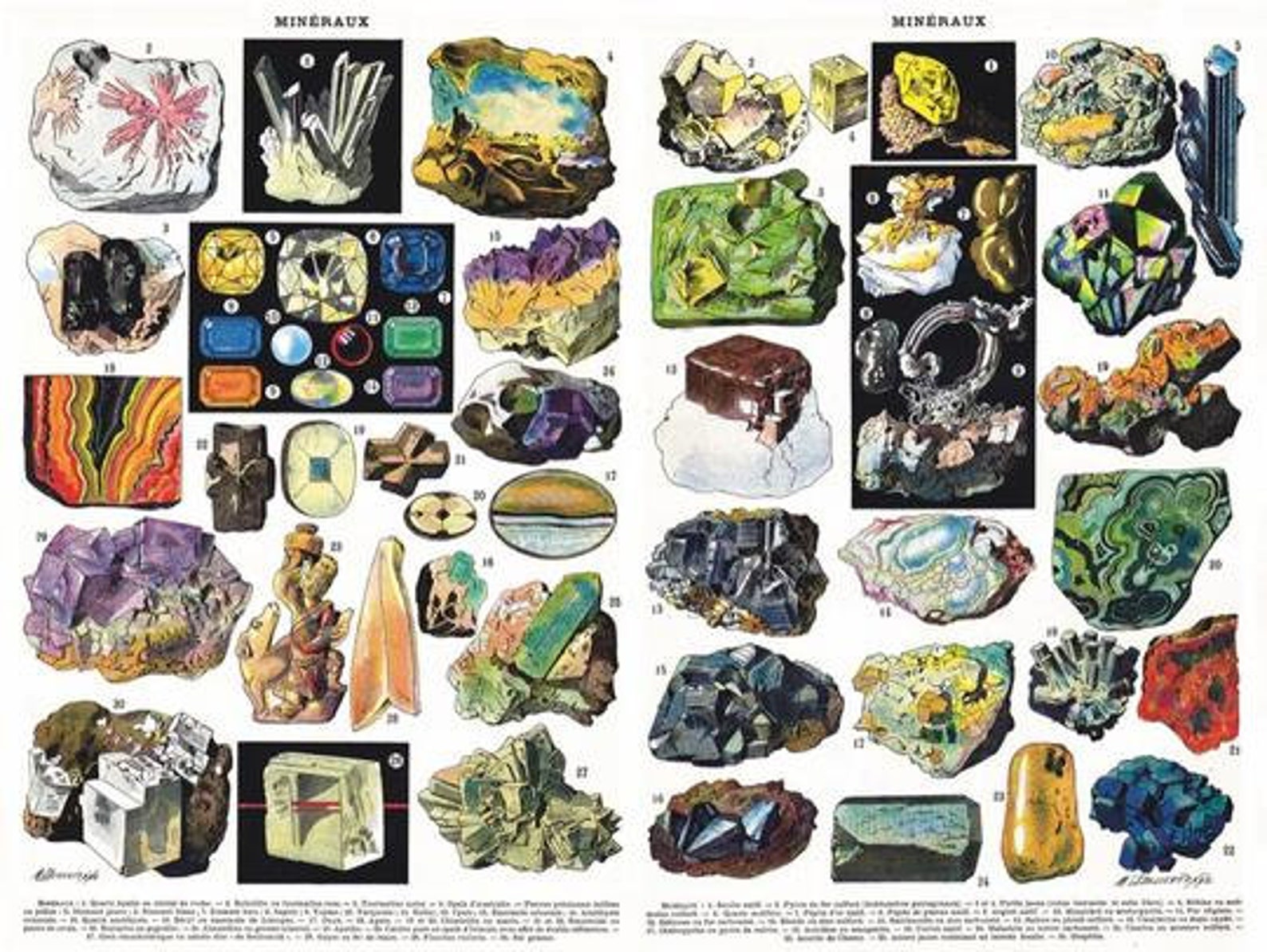 Minerals 1000 Pieces Jigsaw Puzzle New York Puzzle Company Etsy