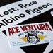 Ace Ventura Pet Detective Business Cards X 20 Replica Prop - Etsy