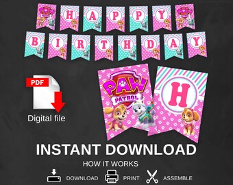 Children Party Banner 2 X Personalised PAW Patrol Skye Birthday Party Banners Children Party Banner 2 X Personalised PAW Patrol Skye Birthday Party Banners