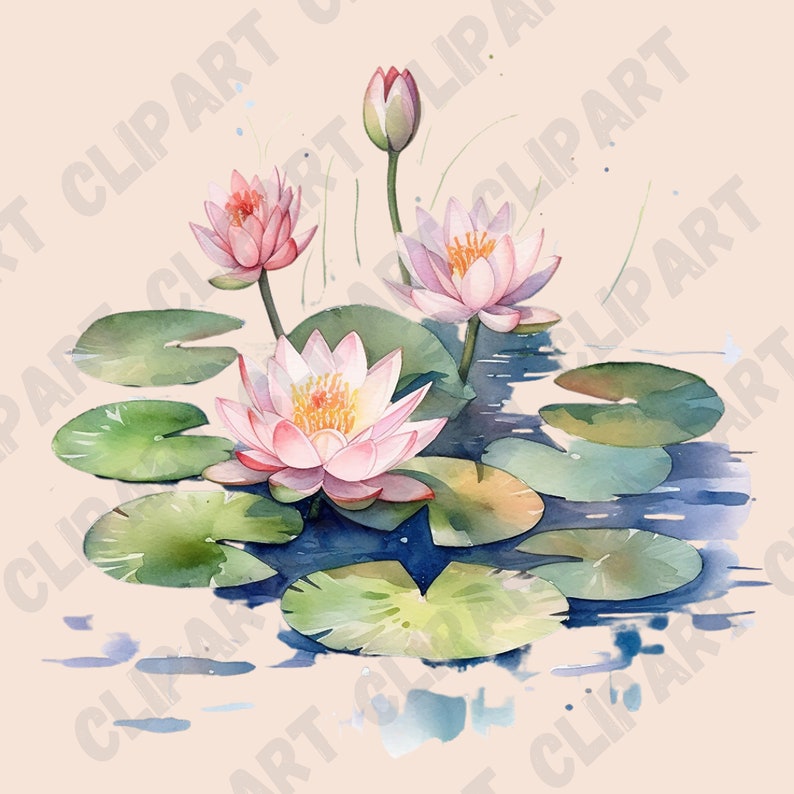 Watercolor Lily Pond Clipart Watercolor Spring Pngs Clipart - Etsy