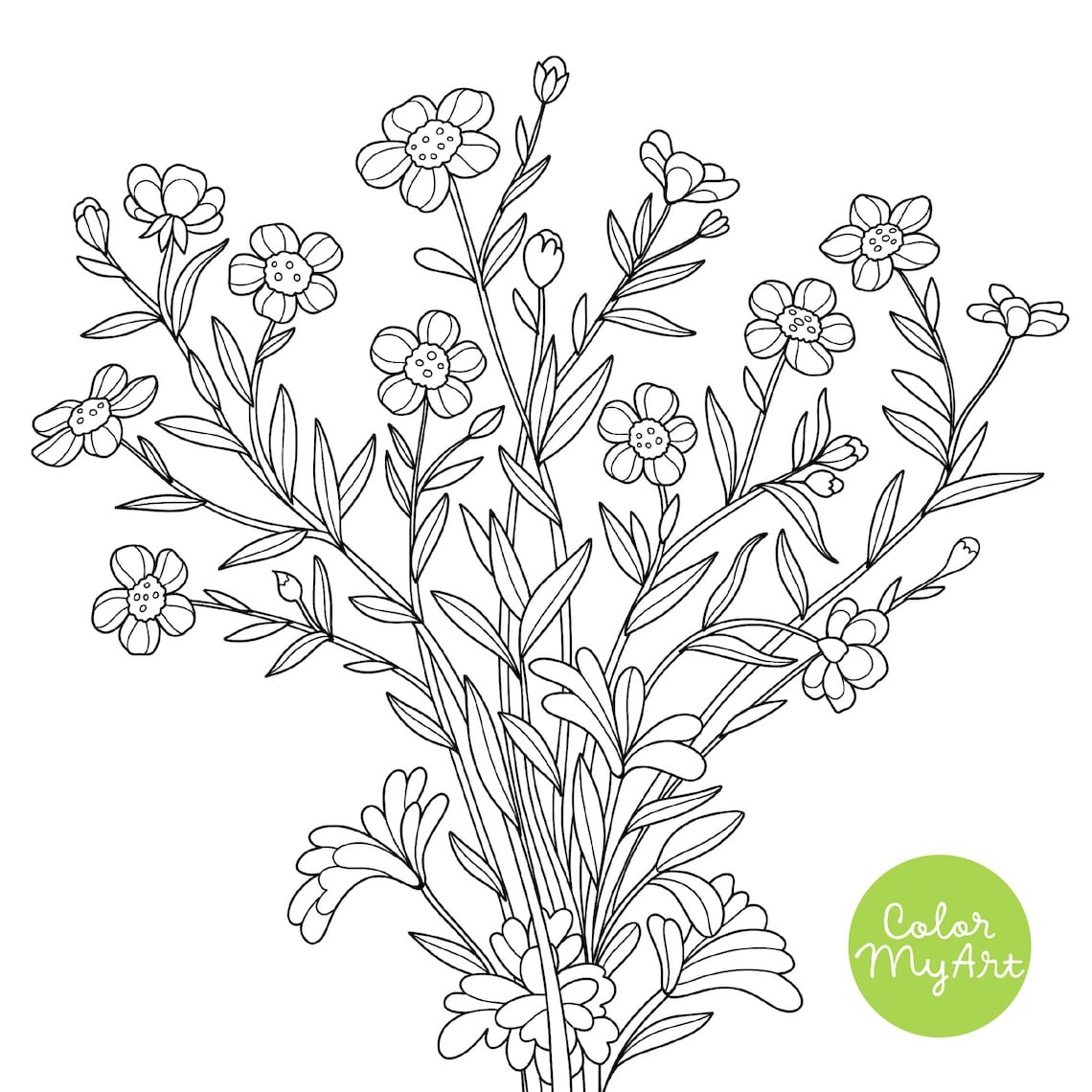 Wildflower Coloring Page Buttercups Coloring Sheet Meadow Etsy