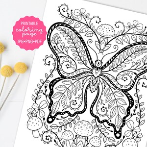 Page de coloriage de papillon, feuille de coloriage d&#39;art folklorique, coloration de papillon de prairie, papillon fantaisiste, coloriage adulte