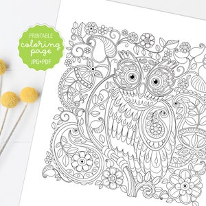 Owl Coloring Page, Cute Paisley Owl Coloring Sheet, Adult Coloring, Printable or Digital