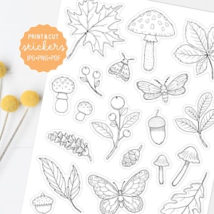 Fall Forest Coloring Printable Stickers, Autumn Leaves, Mushroom and Berries Decorative Stickers, Planner Stickers, Digital Stickers
