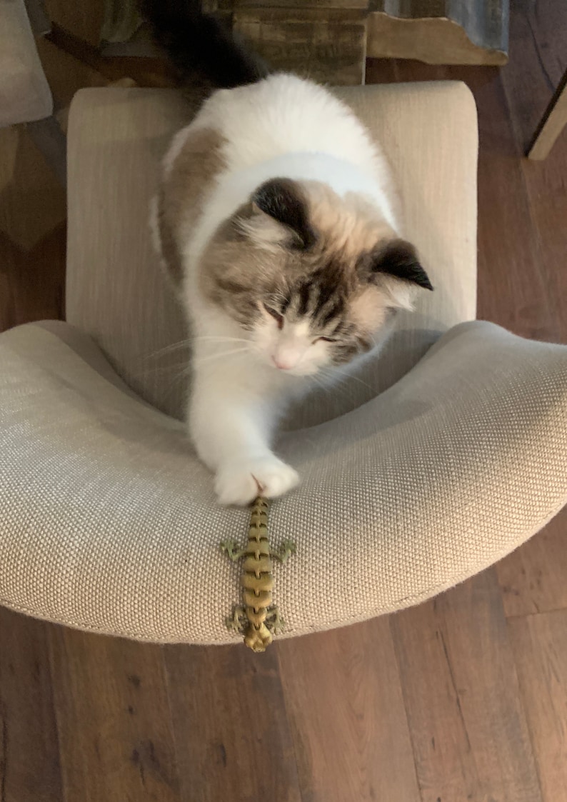 May include: A white and brown cat with black ears sits on a light brown chair and looks down at a small, yellow and brown lizard toy.