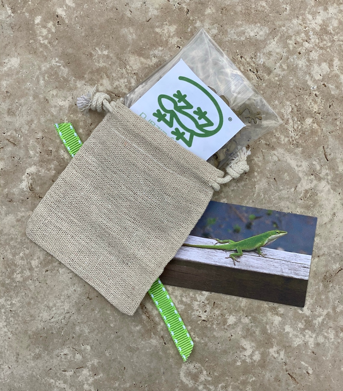 Kitty Lizard Articulated Cat Toy Etsy