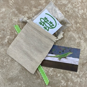 May include: A small, beige drawstring bag with a green ribbon. The bag is filled with a small plastic bag containing a green lizard charm. A postcard with a green lizard on a wooden surface is next to the bag.