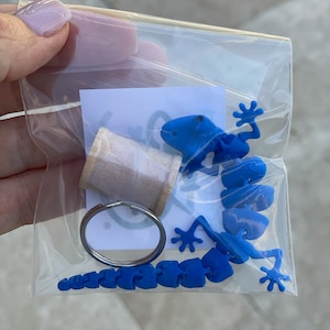 May include: A blue plastic gecko keychain with a wooden spool charm. The gecko is segmented and has a textured surface. The keychain is in a clear plastic bag.
