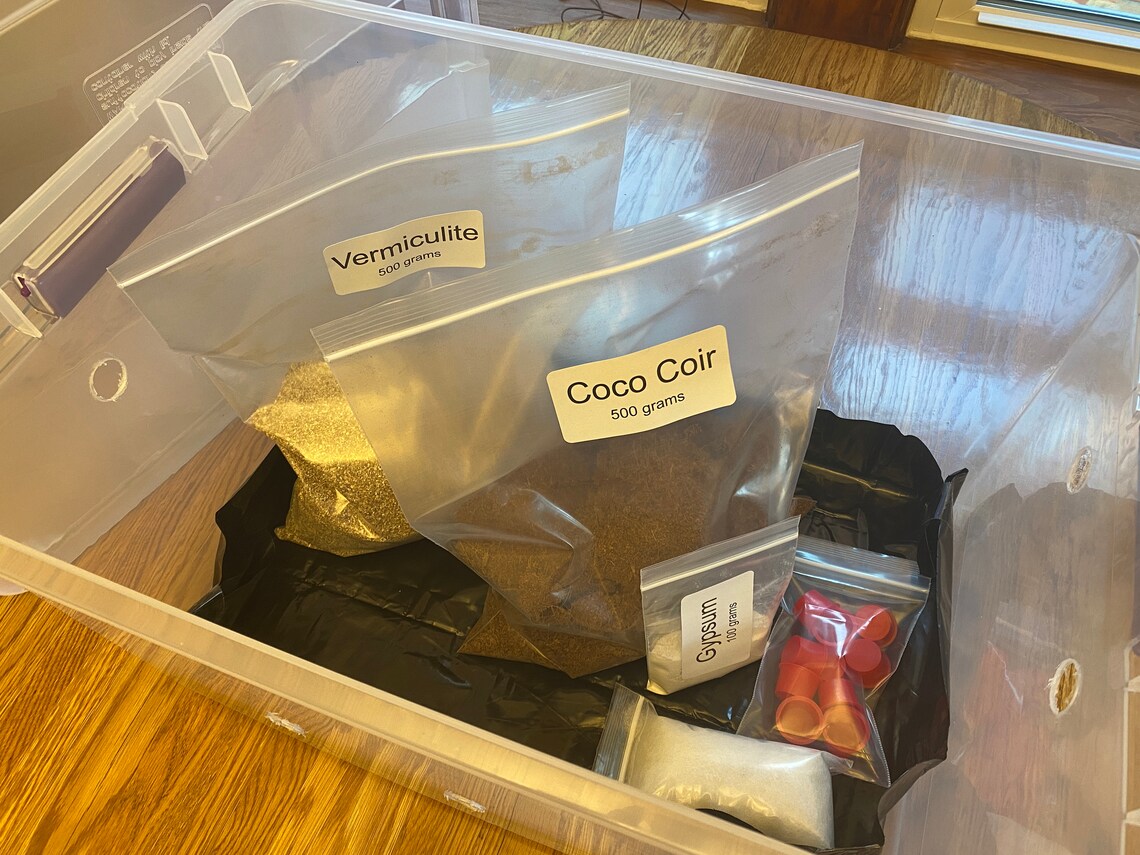 Monotub 66qt & Dry Bulk Substrate Kit Etsy