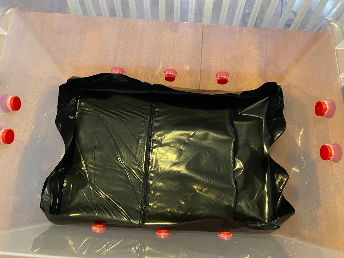 Monotub 66qt & Dry Bulk Substrate Kit Etsy