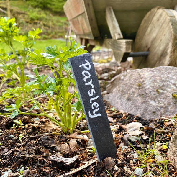 Slate Plant Labels Etsy UK