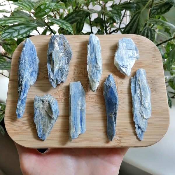 Raw Blue Kyanite Crystals | Kyanite Stone | Kyanite Gemstone | Throat Chakra Crystals | Crystals for Jewellery | Crystals for Communication