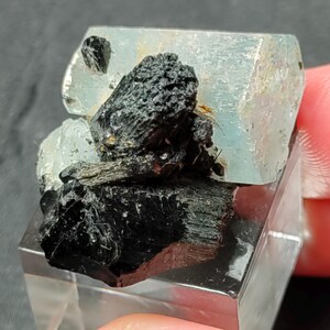 Op de afbeelding: Een ruw mineraal exemplaar met een grote, doorschijnende, lichtblauwe aquamarijn kristalbasis met opvallende, grillige, ondoorzichtige zwarte toermalijnformaties, gemonteerd op een vierkant, transparant acryl displayblok.