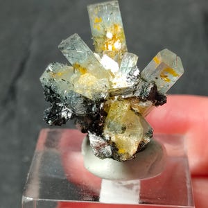 Op de afbeelding: Een mineraalexemplaar met doorschijnende, licht blauwgroene prismatische kristallen met goudgele insluitingen, gegroepeerd op een donkere, metalen, kristallijne basis, gemonteerd op een helder, vierkant acryl displayblok.