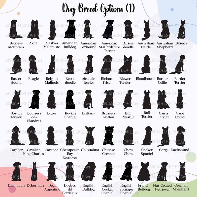 Pode incluir: Um gr&aacute;fico de v&aacute;rias ra&ccedil;as de c&atilde;es em forma de silhueta, com o nome da ra&ccedil;a abaixo de cada silhueta. O gr&aacute;fico &eacute; intitulado "Dog Breed Options (1)".