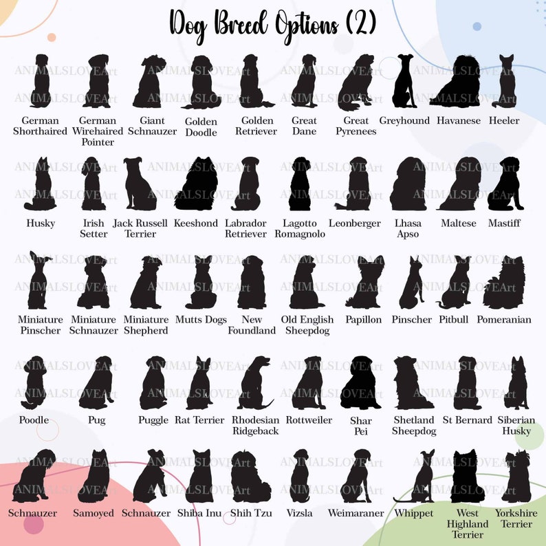 Pode incluir: Um gr&aacute;fico de 40 ra&ccedil;as de c&atilde;es diferentes, cada uma representada por uma silhueta preta de um c&atilde;o sentado. As ra&ccedil;as s&atilde;o listadas abaixo de cada silhueta. O gr&aacute;fico &eacute; intitulado "Dog Breed Options (2)".