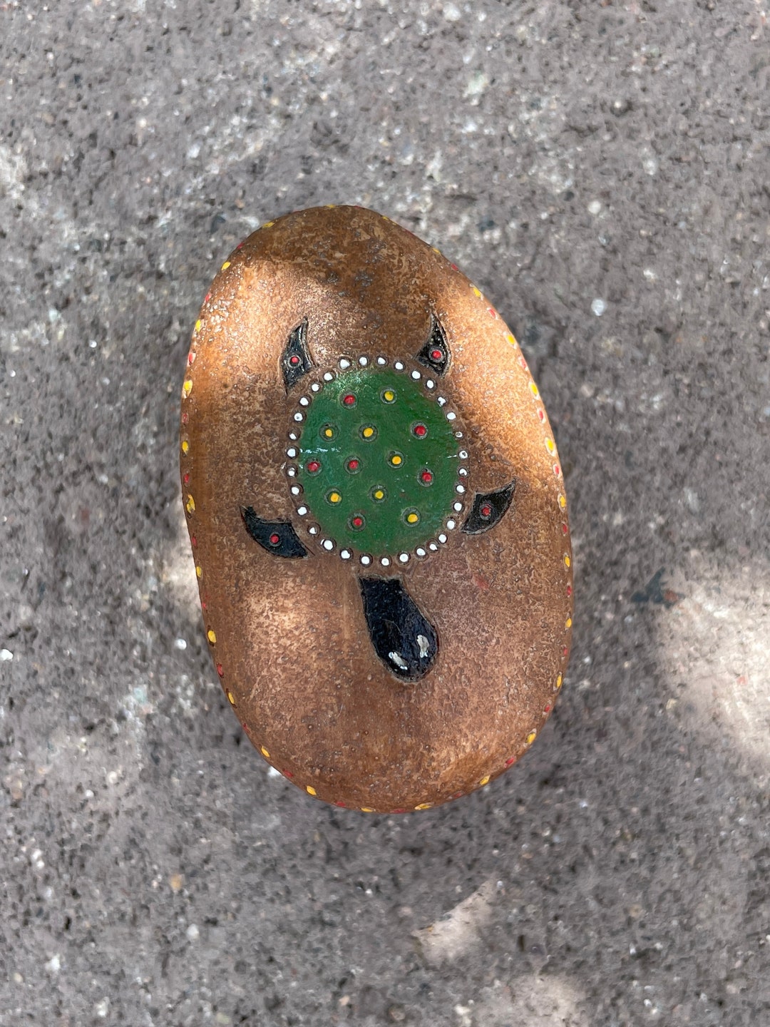 Box Turtle Shell Decorations Hand Painted Sea Turtle Trinket Box - Australian Made - Etsy