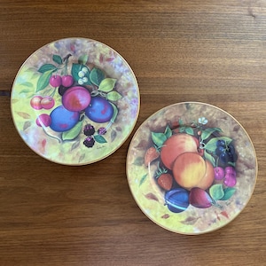 Limoges Porcelain Fruit Plate | Vintage Limoges Plate | Collectable Limoges Plate