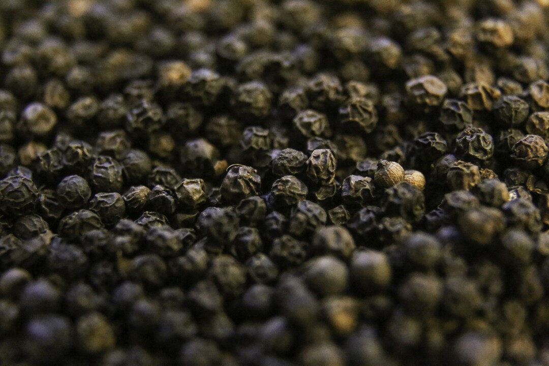 Peppercorn Whole Black Pepper Corns Bulk Packing 1 Lb Dried Pepper Bulk Peppercorns Wholesale