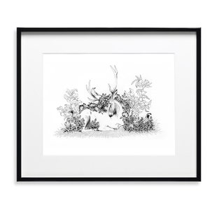 Deer Art Print