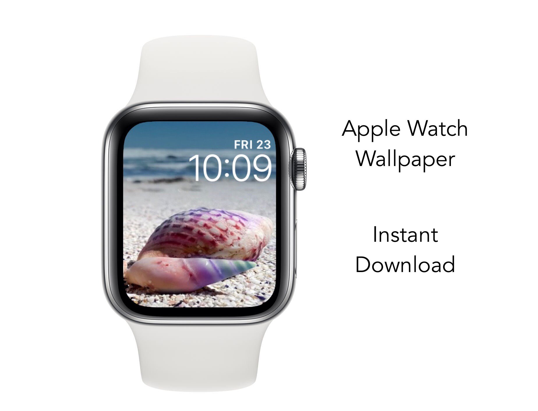 seashell apple watch