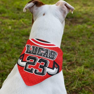 Hundehalstuch Name Jersey Age Basketball mit Knopf