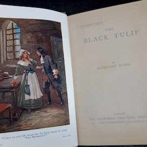 Puede incluir: Libro abierto con una ilustraci&oacute;n en color de una escena de "La Tulipa Negra" de Alexandre Dumas. La ilustraci&oacute;n muestra a una mujer con un vestido verde y un hombre con un abrigo oscuro. El texto en la p&aacute;gina derecha dice "La Tulipa Negra" y el nombre del autor.