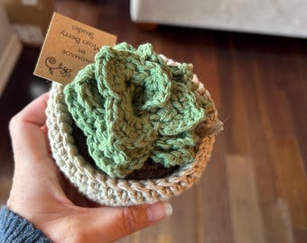 Crochet Succulent Plant | Handmade Fake Succulents | Low Maintenance Desk Decor | Boho Home Decor Gift | Cute Yarn Plant | Plant Lover