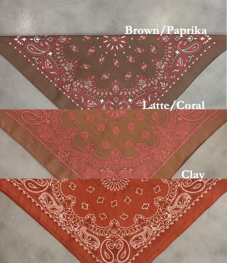 One Tocayo Sunfaded Hand Dyed Paisley Bandana | 20