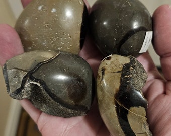 Septarian - Madagascar - Revitalize, Recharge, Recalibrate - NO INFO CARD