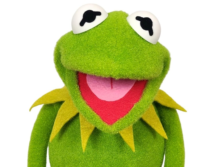 Frog Caricature Puppet