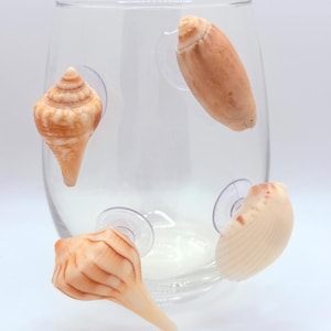 May include: A clear glass with four seashells attached by suction cups. The seashells are various shapes and colors, including tan, cream, and orange. The glass is empty and sits against a white background.