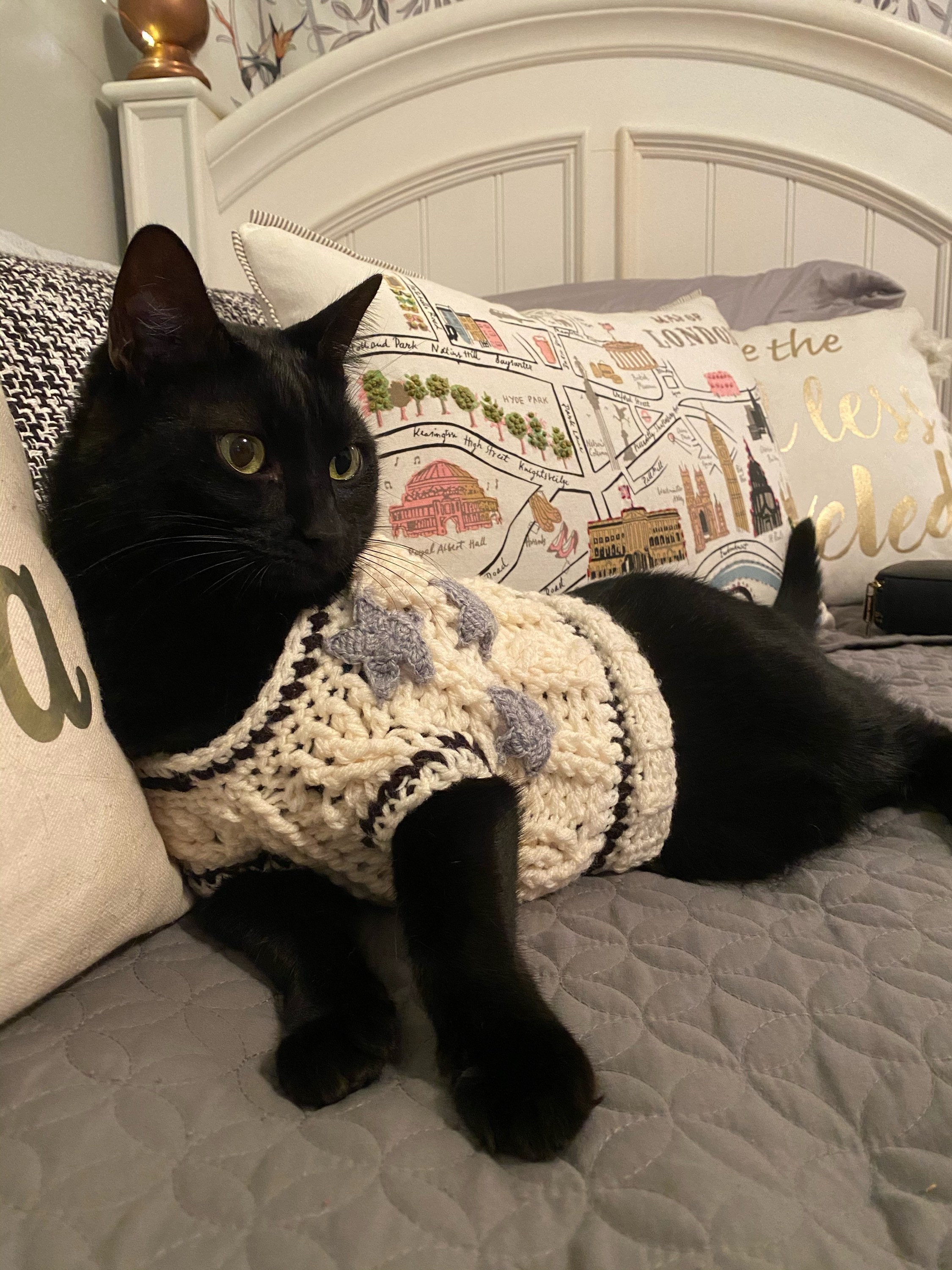 Taylor Swift Inspired Cat Cardigan Folklore - Etsy