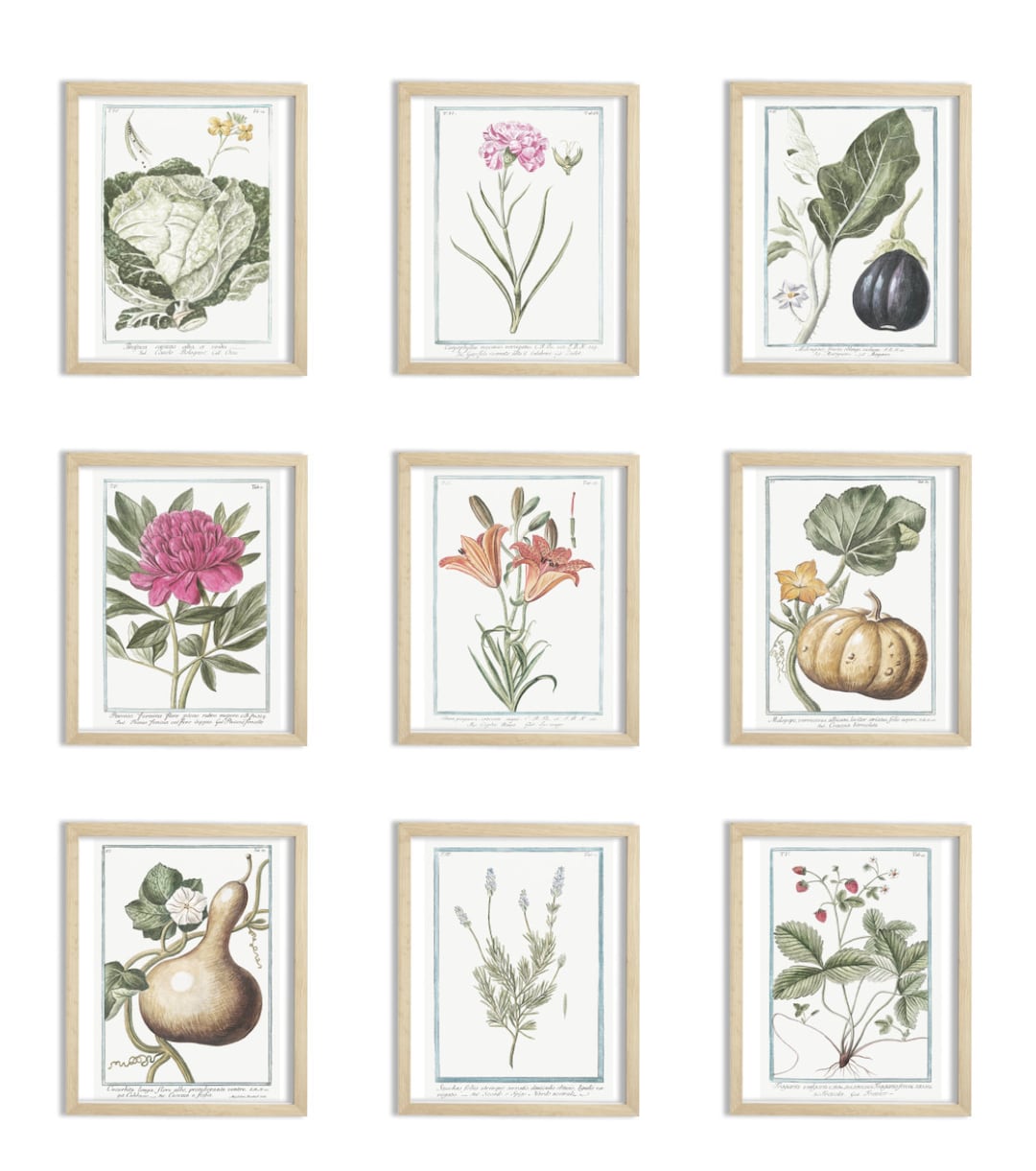 DIGITAL DOWNLOAD Vintage Botanical Print Set: Antique Wall Art, Cottage ...
