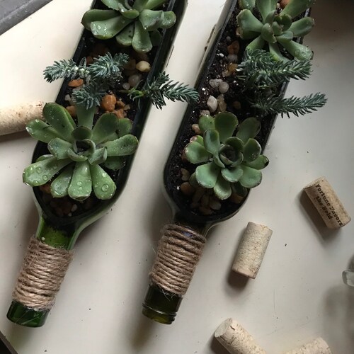 Wine Bottle Planter Mold Etsy