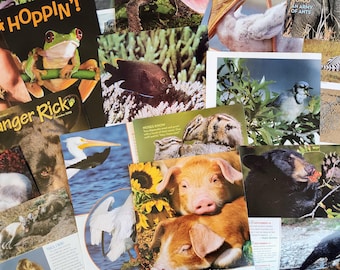 Animal Magazine Ephemera: 100 Piece Lot for Junk Journals & Collages