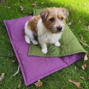 Op de afbeelding: Een kleine, ruwharige terriër met bruin en wit haar zit op een rechthoekige huisdiermat. De mat heeft een tweekleurig ontwerp met een levendige paarse bovenlaag en een olijfgroene onderlaag, beide gemaakt van een gestructureerde stof.