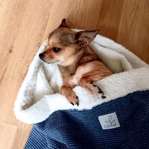 Puede incluir: Un pequeño perro chihuahua marrón y blanco está acurrucado en una manta para mascotas con capucha azul y blanca. La manta tiene un forro de sherpa blanco y un exterior de tejido de gofre azul. La manta tiene una pequeña etiqueta blanca con la palabra "LOMME" impresa en ella.