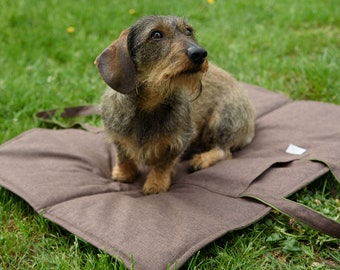 Travel mat, portable Pet mat, medium