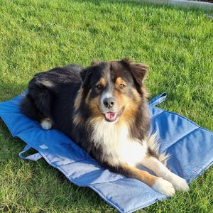 Colchoneta de viaje Dod Settle Mat Hundedecke Colchoneta de viaje para perros, talla M, talla L, talla XL.