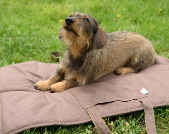 Sac de voyage pour chien, tapis de voyage, tapis d'assise pour chien, tapis portable pour animaux de compagnie, tapis de soin pour animaux de compagnie, tailles M, L et XL.