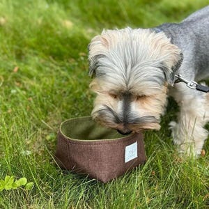 May include: A small brown and green dog bowl with the word "Love" on the side. A small dog is sniffing the bowl.